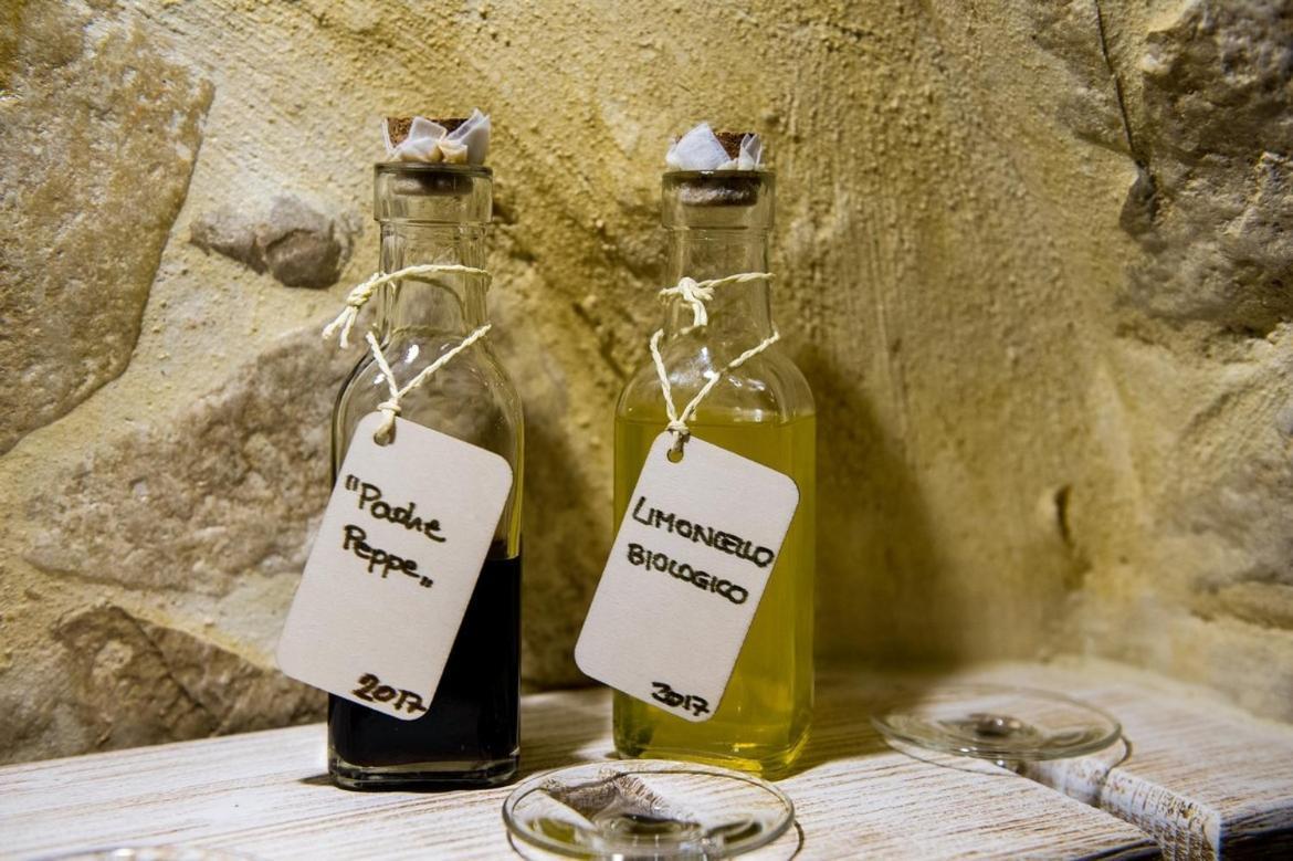 Bio Bacco Nella Gnostra