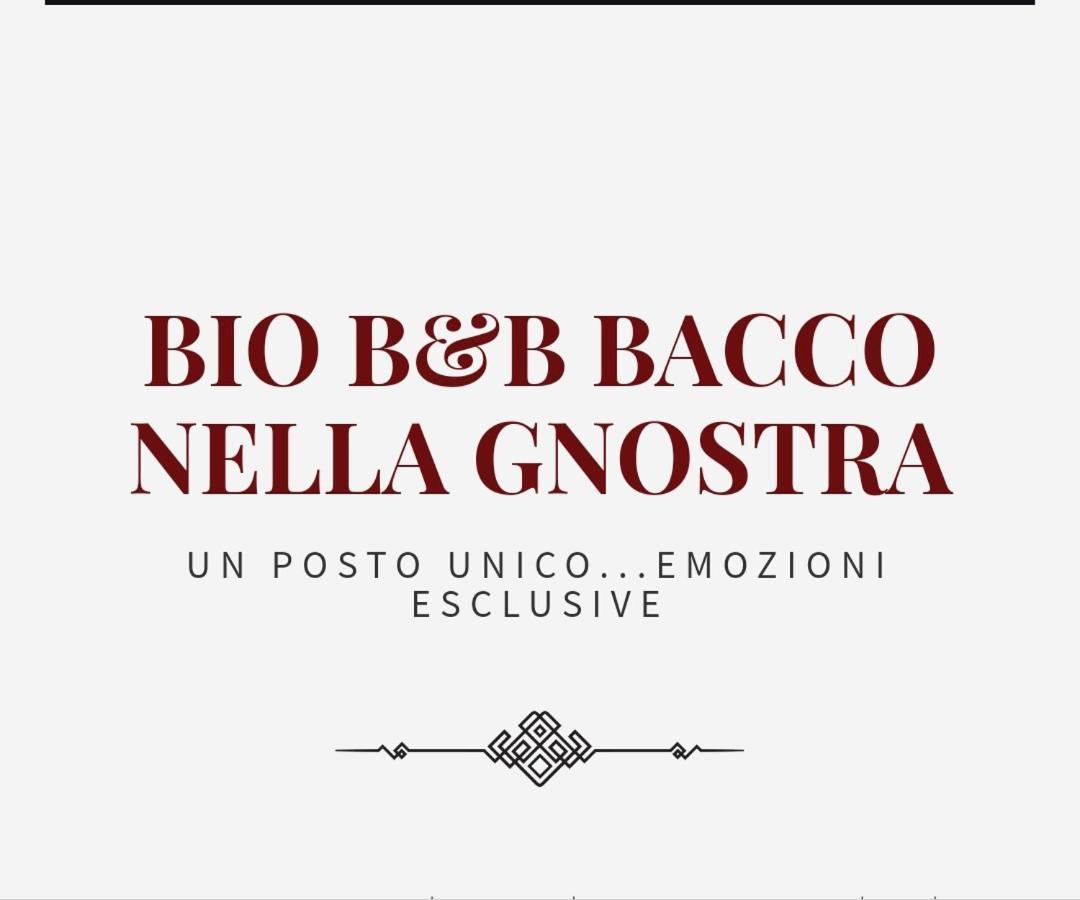 Bed and breakfast Bio Bacco Nella Gnostra Altamura